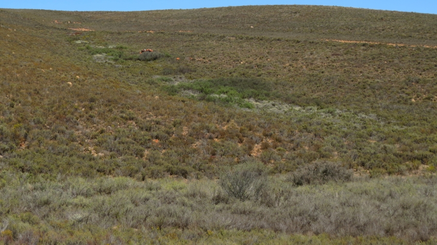 Commercial Property for Sale in Montagu Rural Western Cape